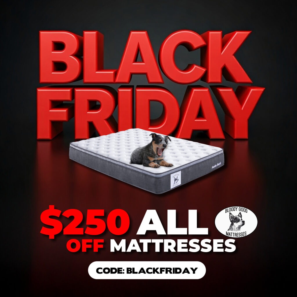 black friday $250 off